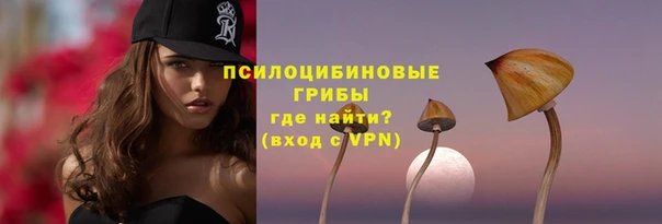 дмт Лагань