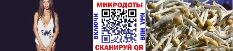 Псилоцибиновые грибы Magic Shrooms  Куйбышев 