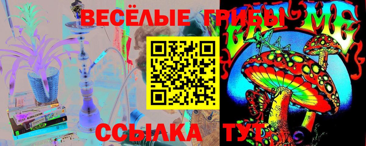 Псилоцибиновые грибы GOLDEN TEACHER Куйбышев
