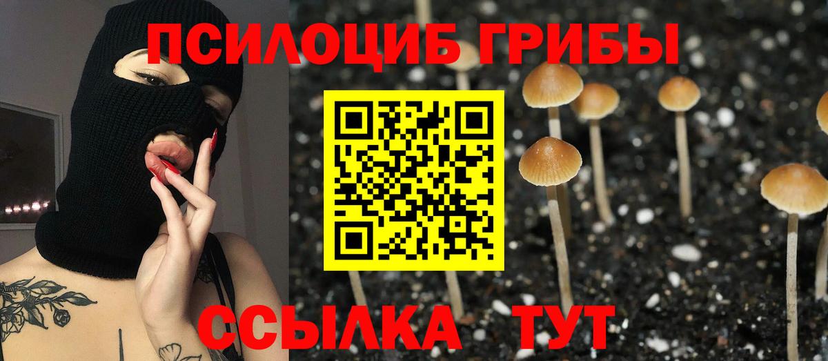 Куйбышев  Галлюциногенные грибы MAGIC MUSHROOMS  Вход с VPN 